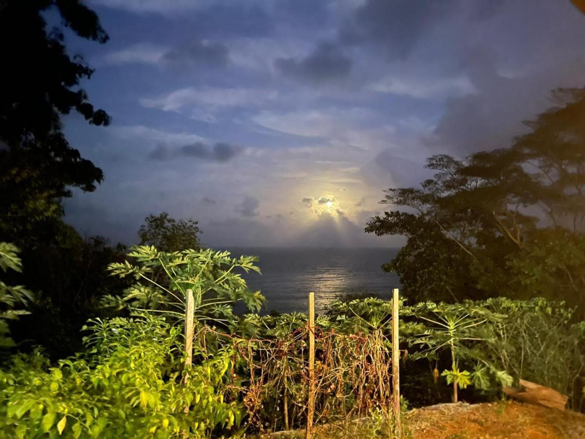 Hostal Doble Vista Capurganá エクステリア 写真
