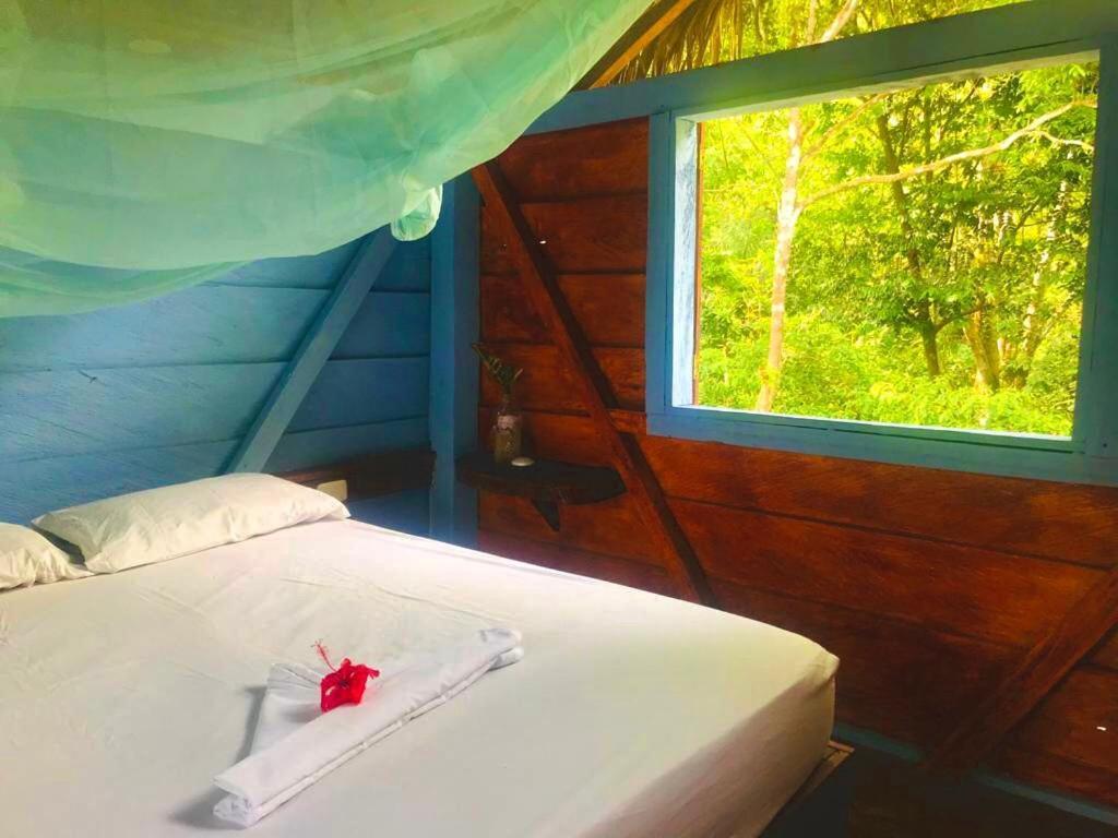 Hostal Doble Vista Capurganá エクステリア 写真