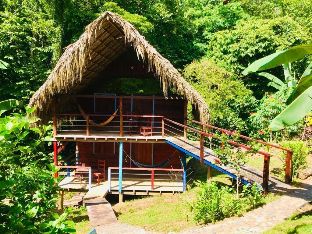 Hostal Doble Vista Capurganá エクステリア 写真