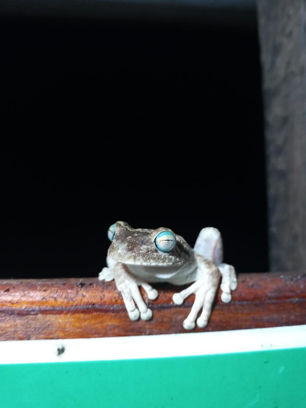 Hostal Doble Vista Capurganá エクステリア 写真