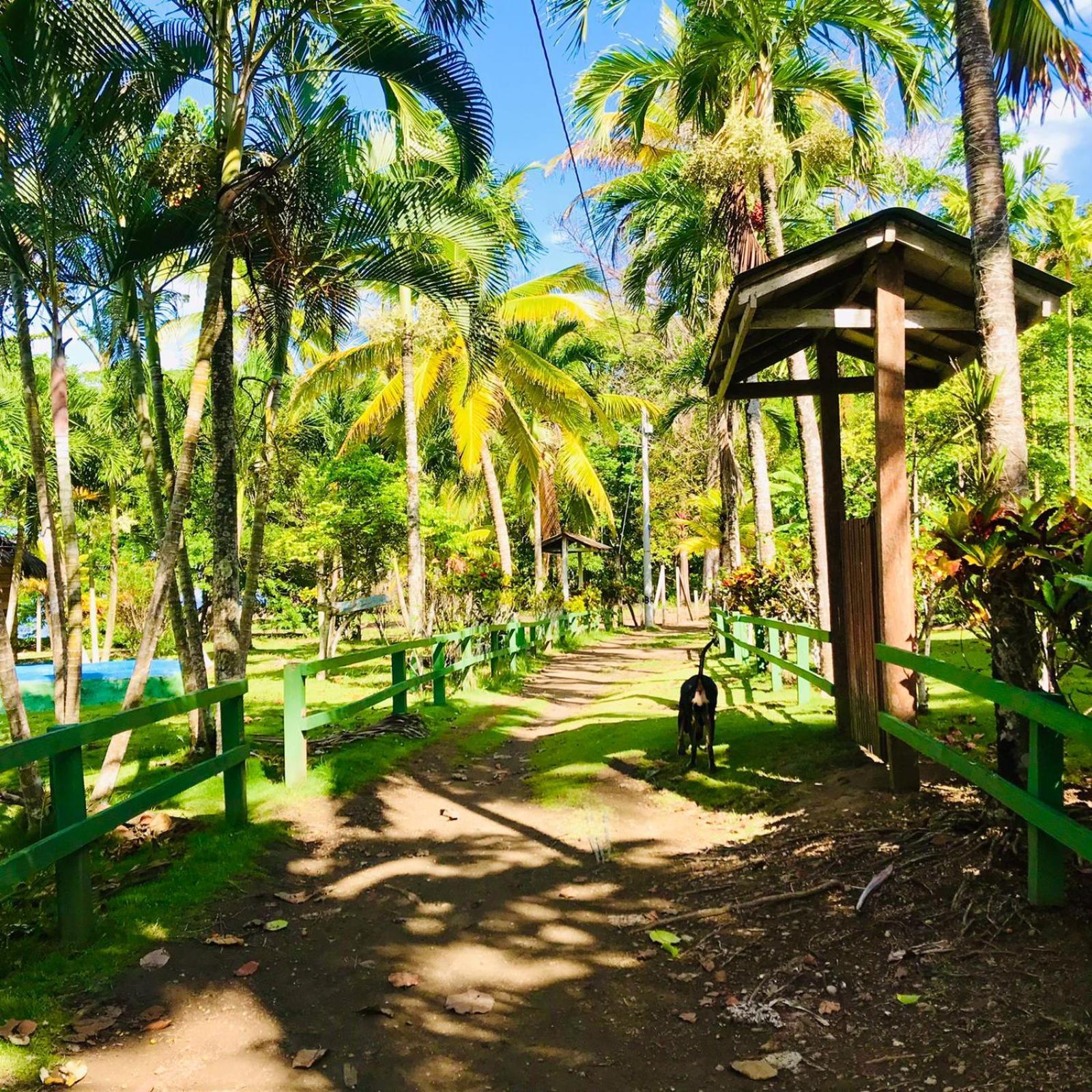 Hostal Doble Vista Capurganá エクステリア 写真