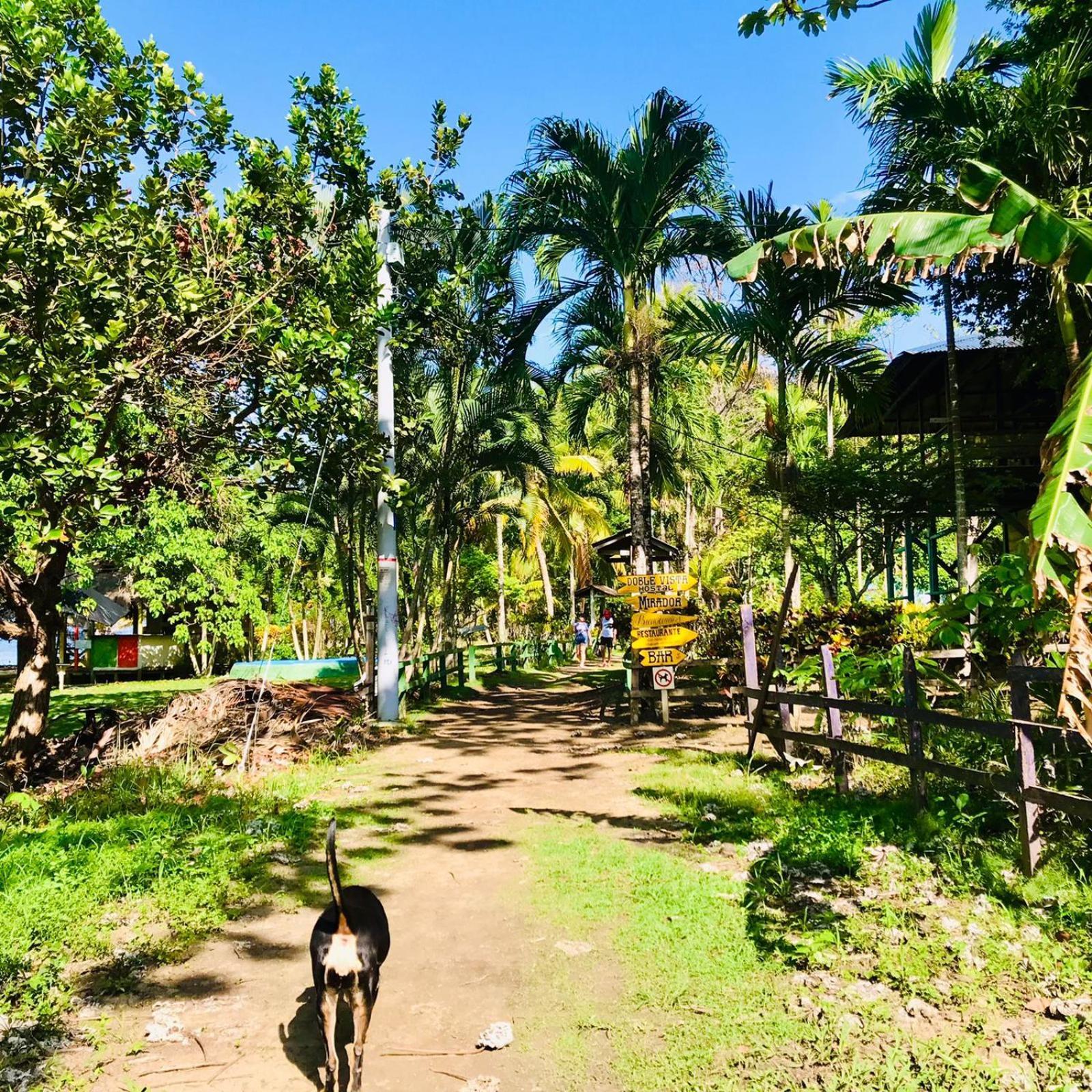 Hostal Doble Vista Capurganá エクステリア 写真