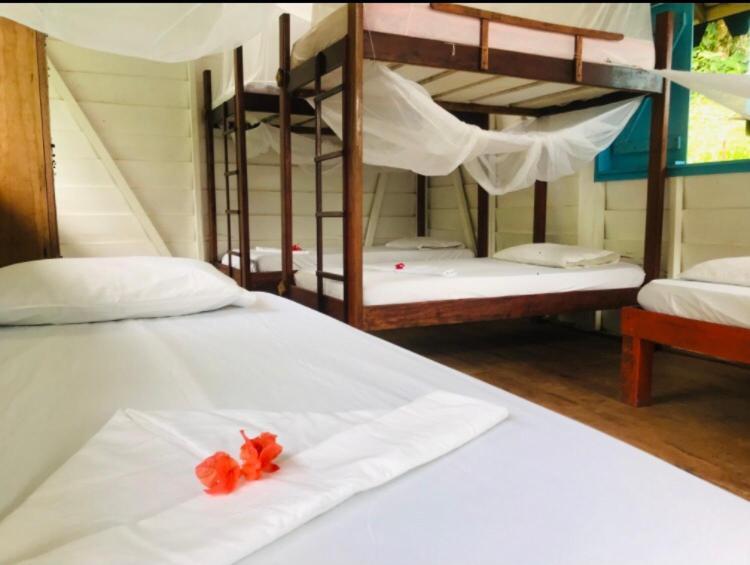 Hostal Doble Vista Capurganá エクステリア 写真